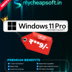 Windows 11 Pro – Genuine License Key (Lifetime Activation)